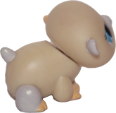 #1204 Hamster